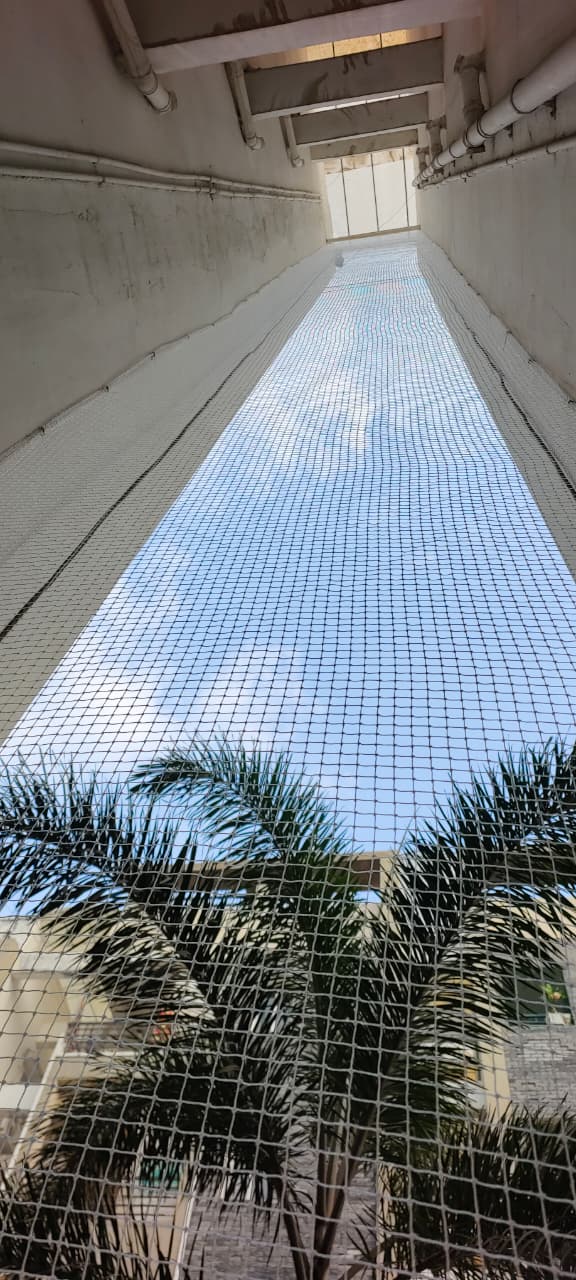 Bird net fitted across a building duct and light shaft
